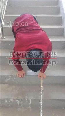 【凌儿女神】户外楼梯间遛狗爬行 bf35682