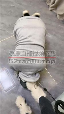 【cc.s】美臀坐头/毛短靴碾压踩/闻白袜/镜前辱 bf36812