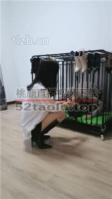 【凌儿】狗笼圈养囚禁生活 bf37685
