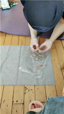 【桉】拖鞋踩狗脚下伺候 JS240709-43