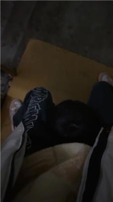 【艾斯】骑马骑脖/白袜脚踩踏 JS241215-31