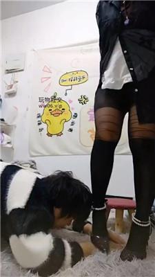 【南宁木木】可爱小姐姐的脚下奴 JS241220-29