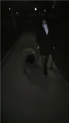 【沐颜】深夜户外遛狗踩踏处刑 bf49145